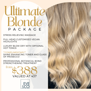 Ultimate Blonde Package - Eve and Co Hair